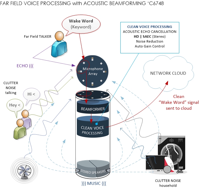 Far field voice processing